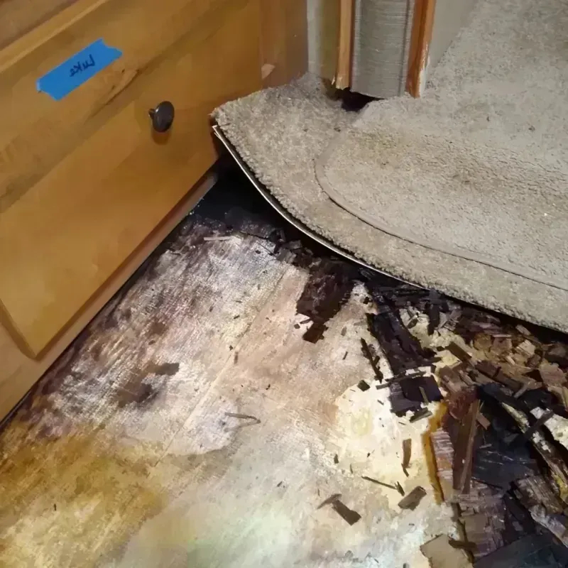 Wood Floor Water Damage in Thornton, CA